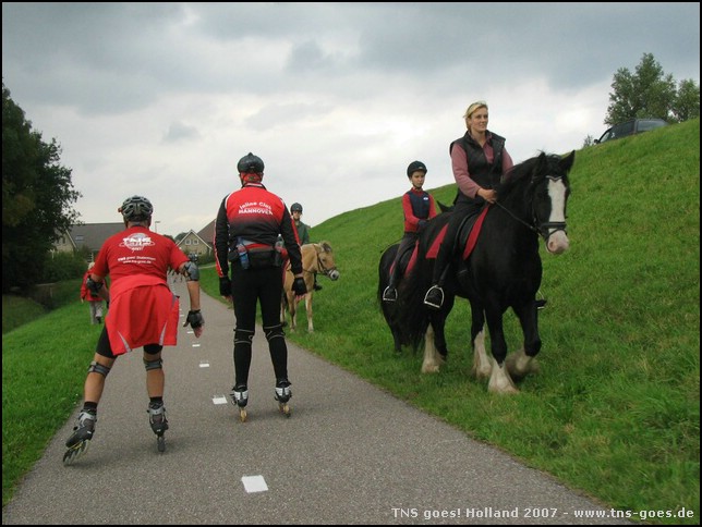 Holland-070922-151908-FR.jpg