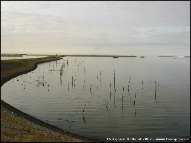 Holland-070922-172410-RH.jpg