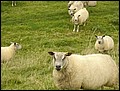 Holland-070922-122502-RH.jpg