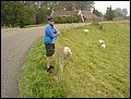 Holland-070922-125256-RH.jpg