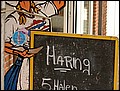 Holland-070922-155708-FR.jpg