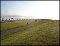 Holland-070922-180544-RH.jpg