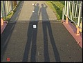 Holland-070922-184008-CK.jpg