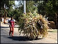 lxr-070214-112846-fr.jpg