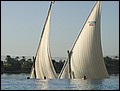 lxr-070214-161424-fr.jpg