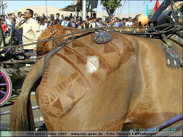 lxr-070215-102754-tk.jpg
