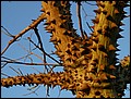lxr-070215-064144-fr.jpg