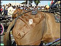 lxr-070215-102754-tk.jpg