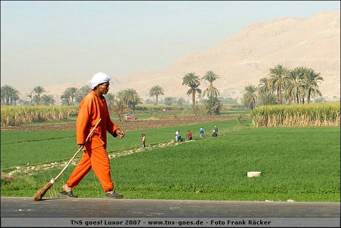 lxr-070216-085432-fr.jpg