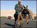 lxr-070216-082306-fr.jpg