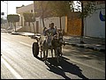 lxr-070216-083340-fr.jpg