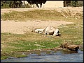 lxr-070216-123534-fr.jpg