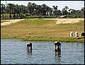 lxr-070216-123922-fr.jpg