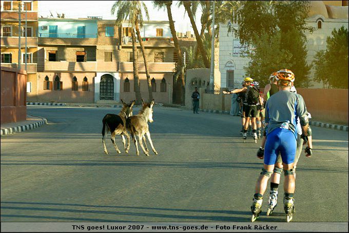 lxr-070217-165700-fr.jpg