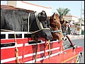lxr-070217-112134-hd.jpg