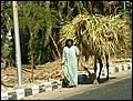 lxr-070217-112732-fr.jpg