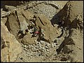 lxr-070217-131348-tk.jpg