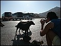 lxr-070217-152906-mm.jpg