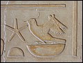 lxr-070217-161832-ch.jpg