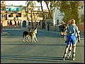 lxr-070217-165700-fr.jpg