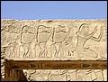 lxr-070218-115624-ch.jpg