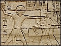 lxr-070218-123340-fr.jpg