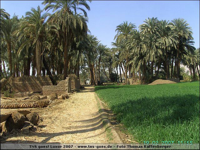 lxr-070219-115516-tk.jpg