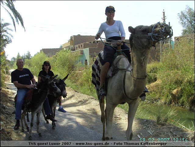 lxr-070219-121414-tk.jpg