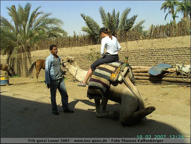 lxr-070219-122604-tk.jpg