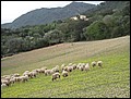 070319-161844-thorsten.jpg