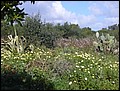 070320-104138-thomas.jpg