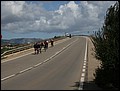 070320-114758-kai.jpg