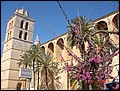 070320-120246-conni.jpg