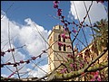070320-122344-conni.jpg