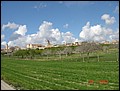 070320-151430-conni.jpg