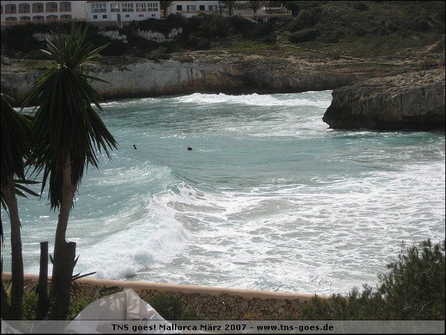 070321-130428-pan.jpg