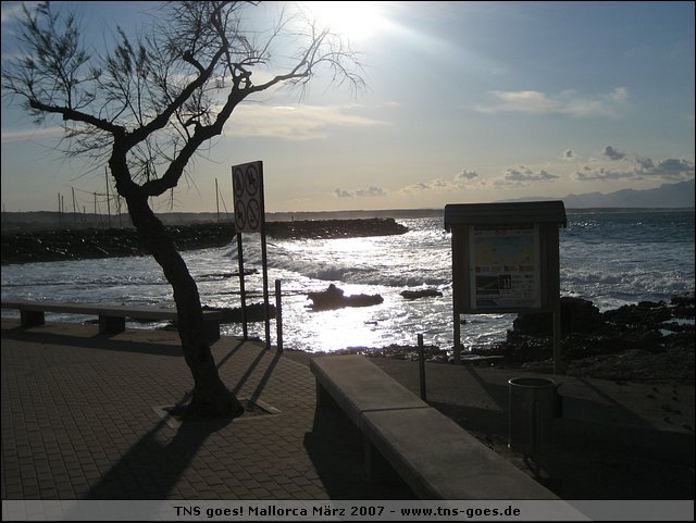 070322-174356-thorsten.jpg
