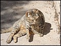 070322-142850-baerbel.jpg