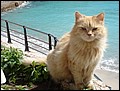 070322-142928-baerbel.jpg