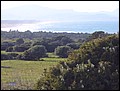 070322-174224-thomas.jpg