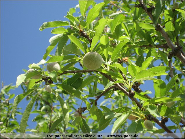 070323-122832-pan.jpg