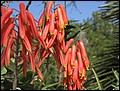 070323-111544-pan.jpg