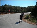 070323-115448-ralf.jpg