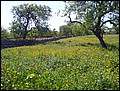 070323-123144-thomas.jpg