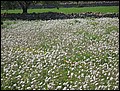 070323-123300-pan.jpg