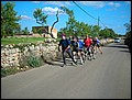 070323-153208-ralf.jpg