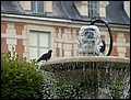 Paris-070728-123700-FR.jpg