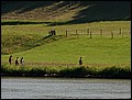 PW-070801-164842-FR.jpg