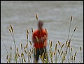 PW-070802-113740-FR.jpg