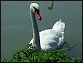 PW-070802-134120-MN.jpg